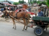 beograd-mala-settlement